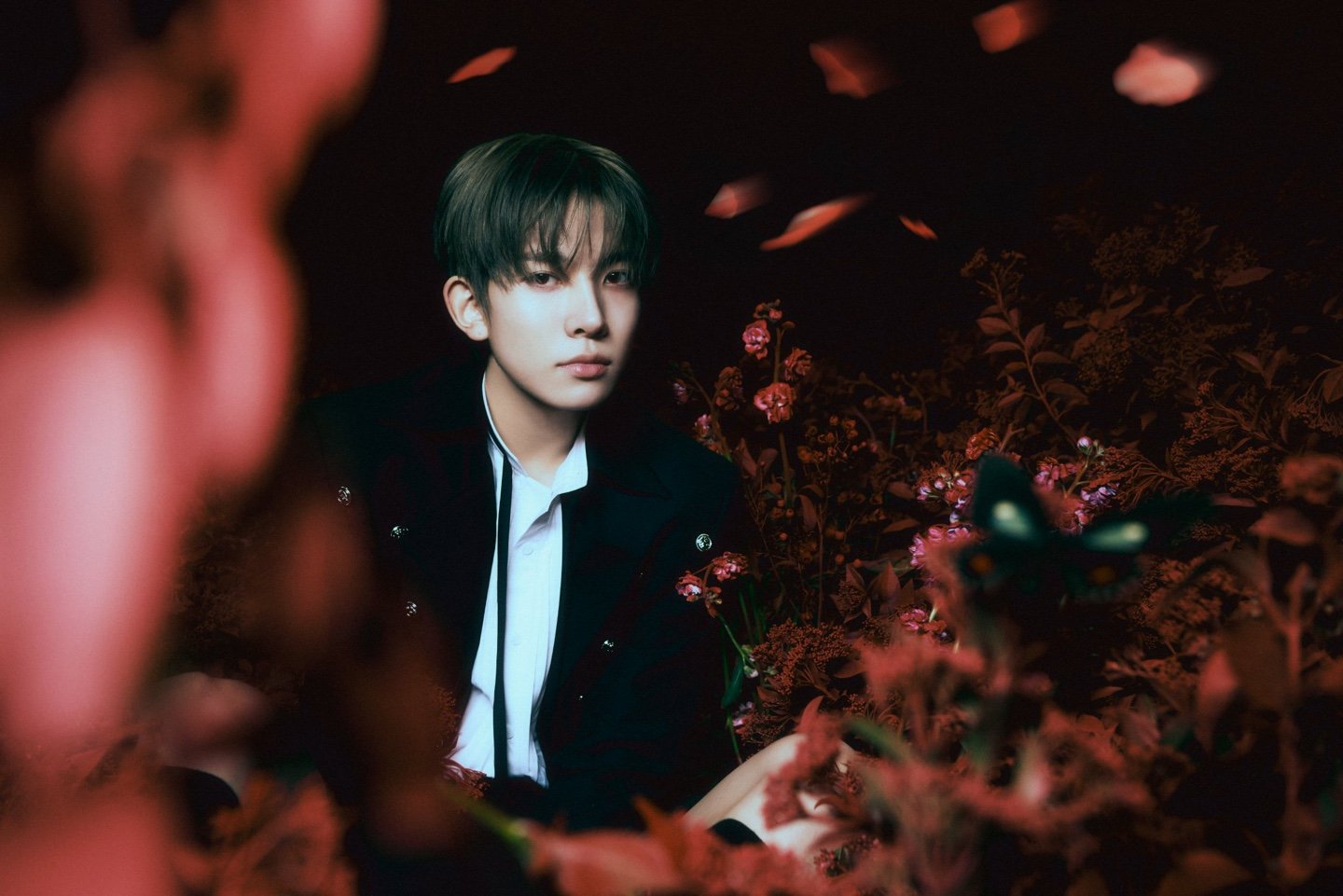 HEESEUNG Leaves ENHYPEN – Shift to 6 Members / Reason for Exit / Future Moves / Fan Response